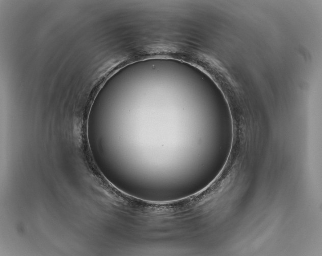 X0000111191217200907011405