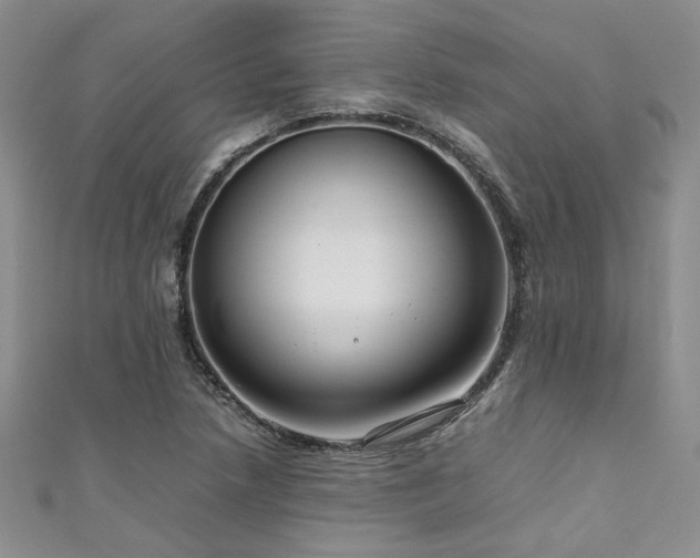 X0000111191218200907011405