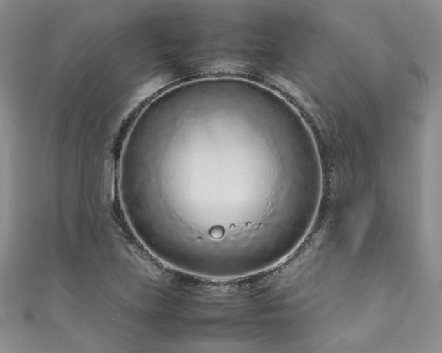 X0000111191219200907011405