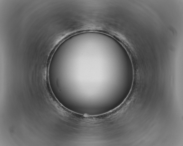 X0000111191220200907011405