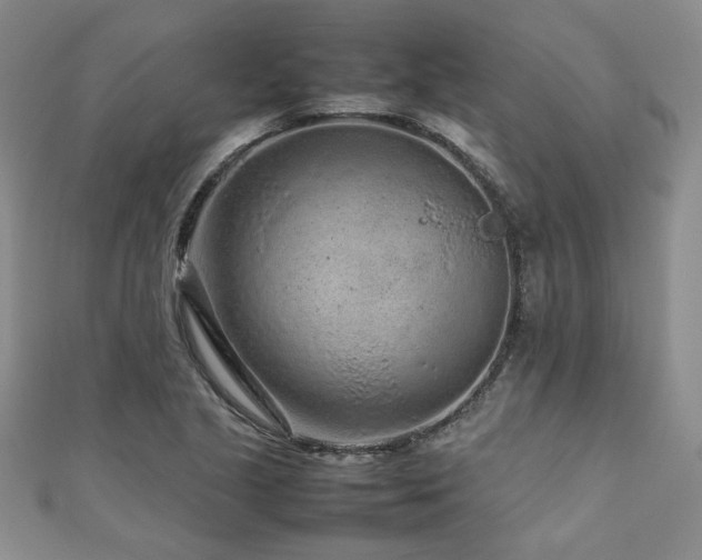 X0000111191221200907011405