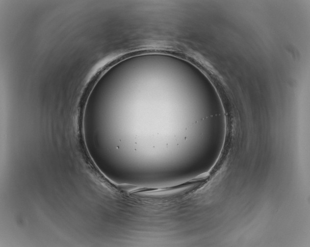 X0000111191222200907011405