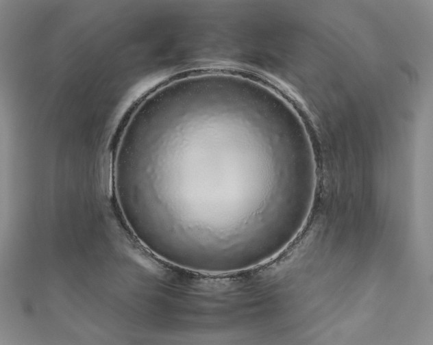 X0000111191223200907011405