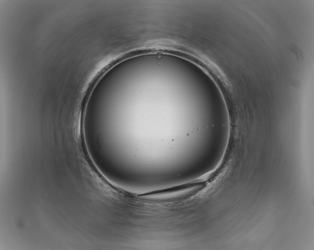 X0000111191224200907011405