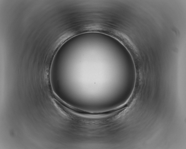 X0000111191225200907011405