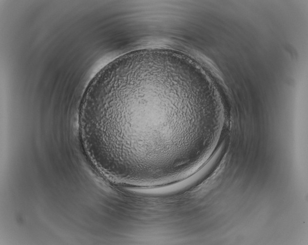 X0000111191226200907011405