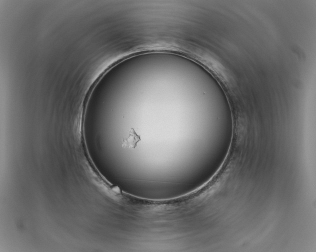 X0000111191228200907011405