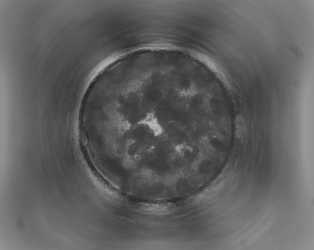 X0000111191229200907011405