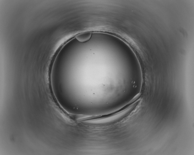 X0000111191230200907011405