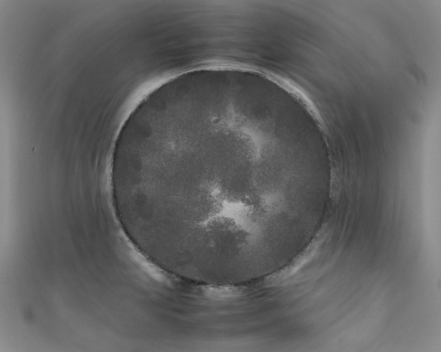 X0000111191231200907011405