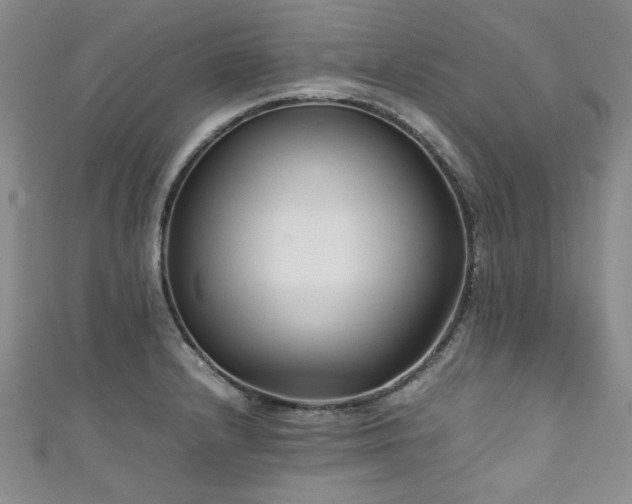 X0000111191232200907011405