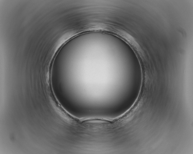 X0000111191234200907011405