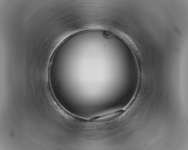 X0000111191236200907011405