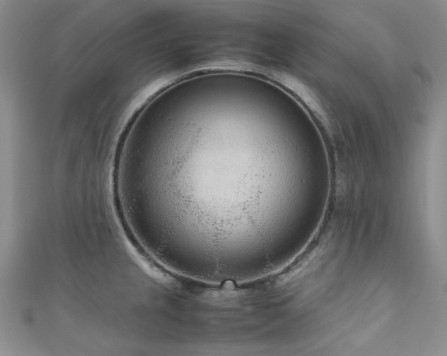 X0000111191237200907011405