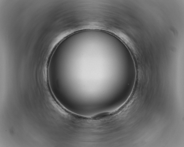 X0000111191238200907011405