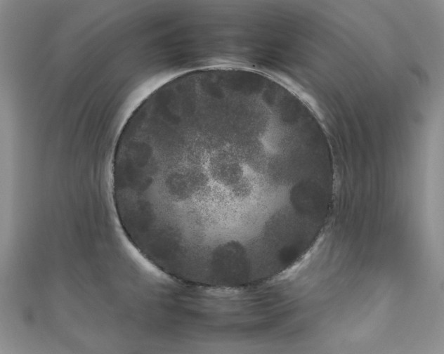 X0000111191239200907011405