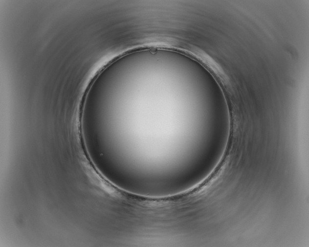 X0000111191240200907011405