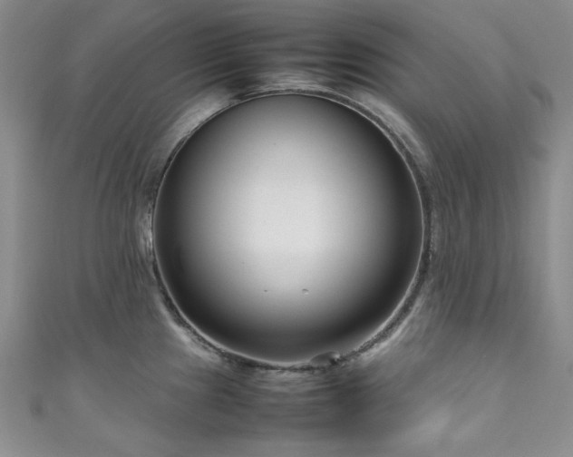 X0000111191241200907011405