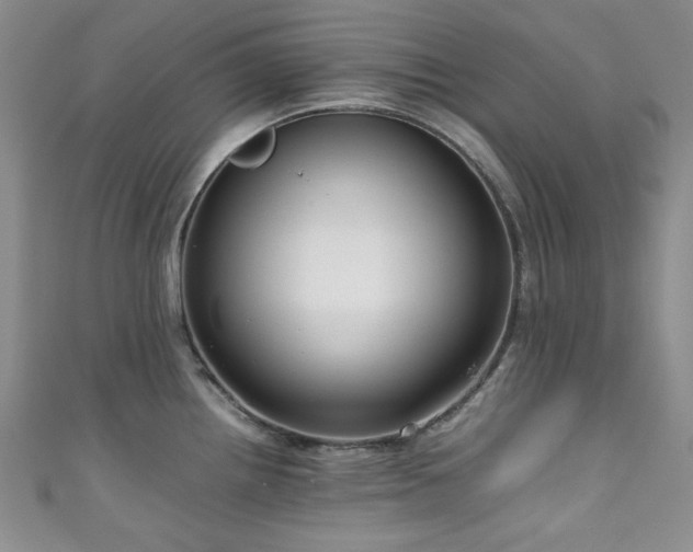 X0000111191242200907011405