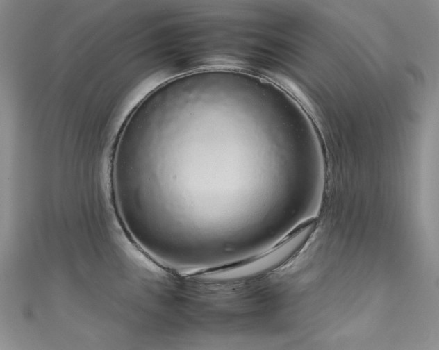 X0000111191243200907011405