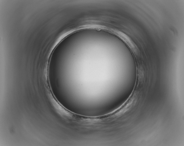 X0000111191244200907011405