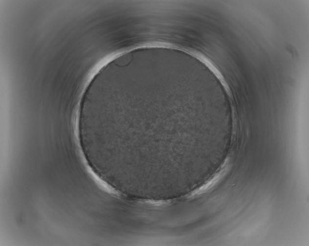 X0000111191245200907011405