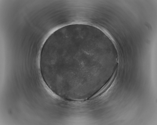 X0000111191246200907011405