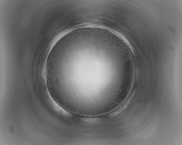 X0000111191247200907011405