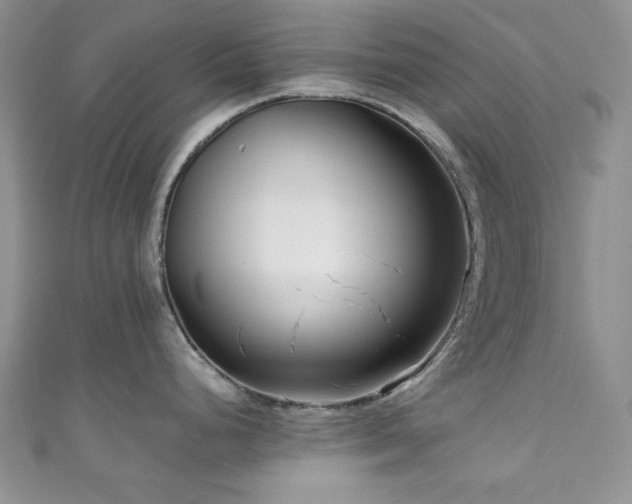 X0000111191248200907011405