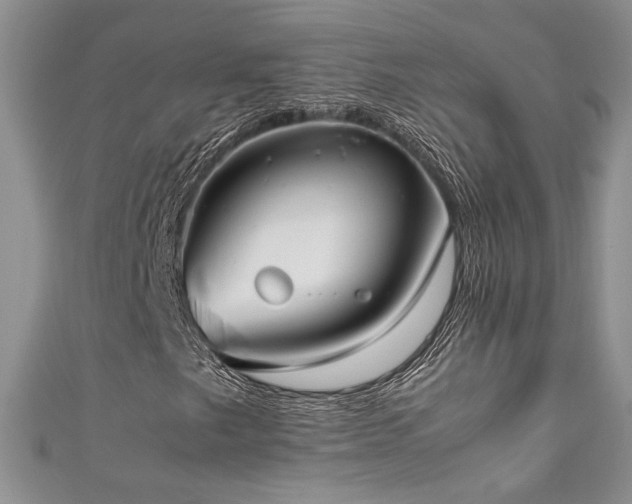 X0000111191249200907011405