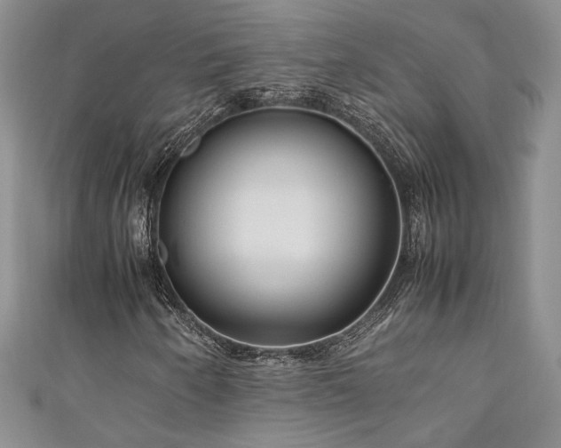 X0000111191250200907011405