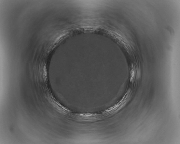 X0000111191252200907011405