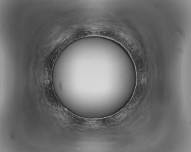 X0000111191253200907011405