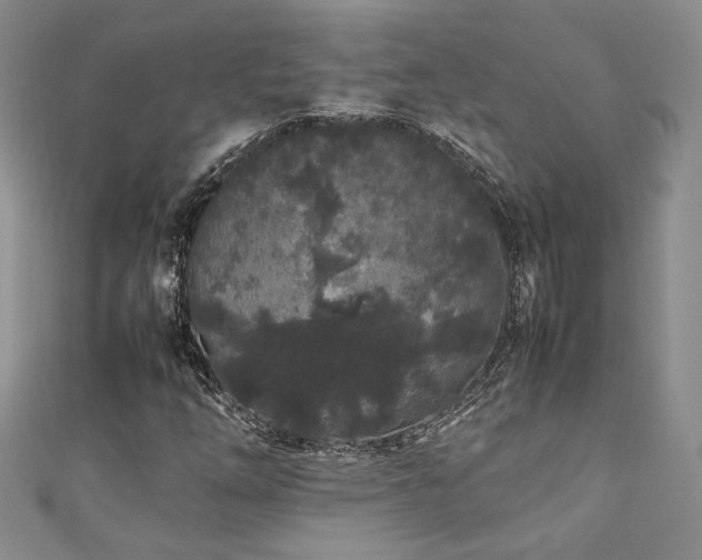 X0000111191254200907011405