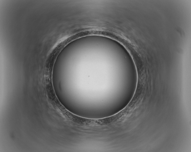 X0000111191255200907011405