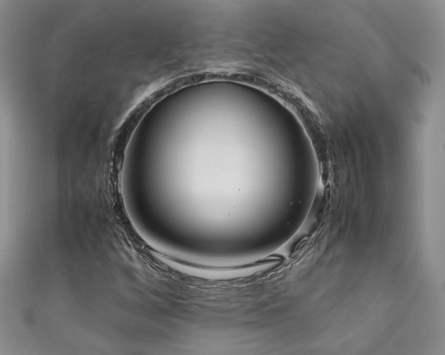 X0000111191256200907011405