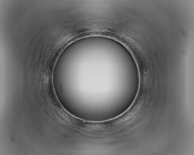 X0000111191257200907011405