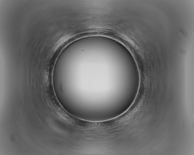 X0000111191259200907011404