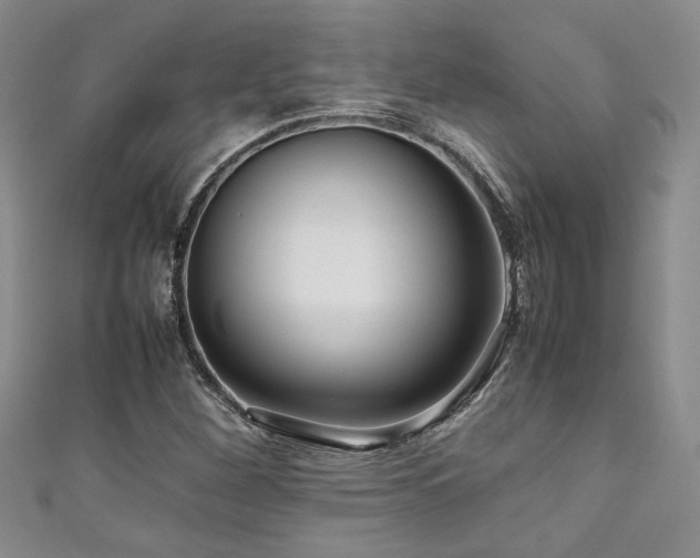 X0000111191260200907011404