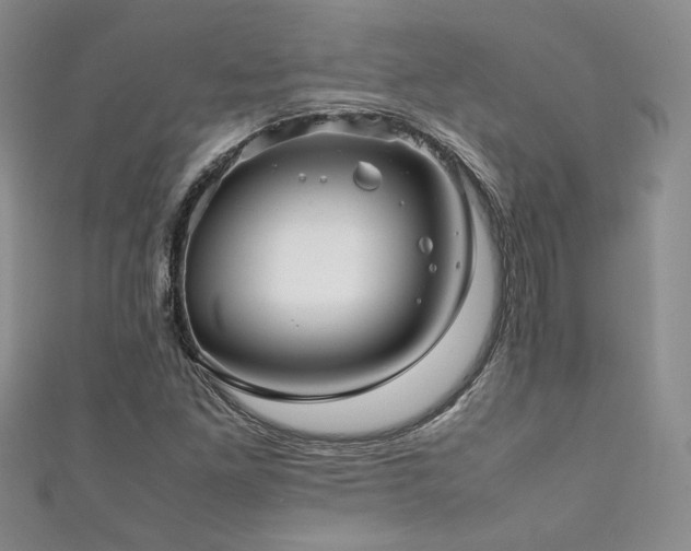 X0000111191261200907011404