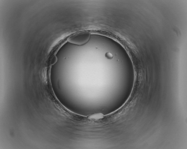 X0000111191262200907011404