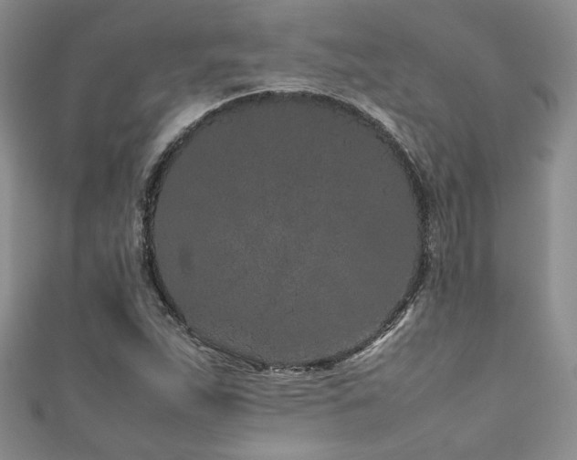 X0000111191263200907011404