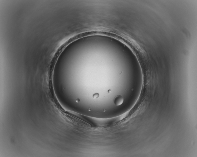 X0000111191264200907011404