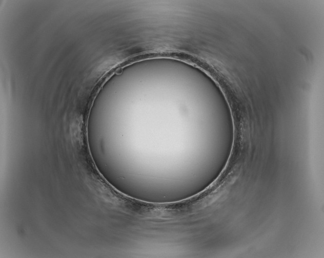 X0000111191265200907011404