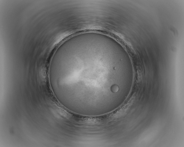 X0000111191266200907011404