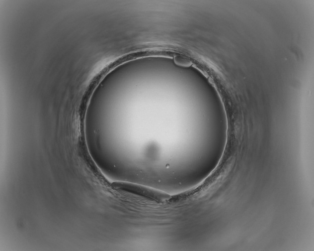 X0000111191267200907011404