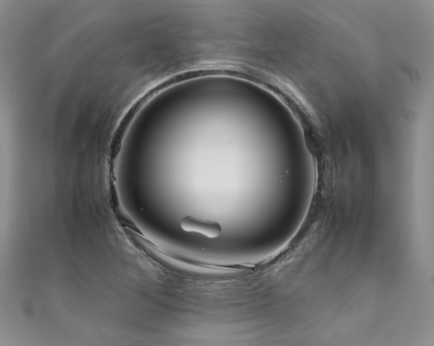 X0000111191268200907011404