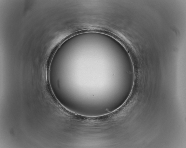 X0000111191269200907011404