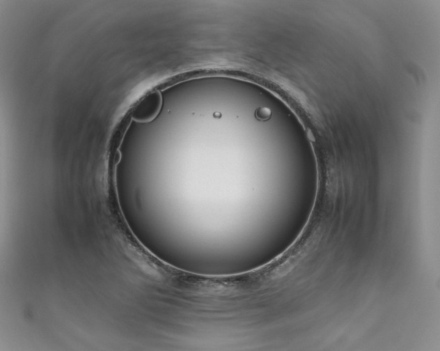 X0000111191270200907011404