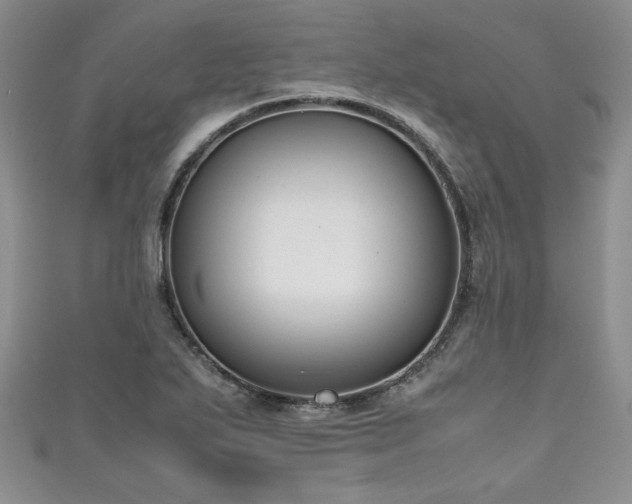 X0000111191271200907011404